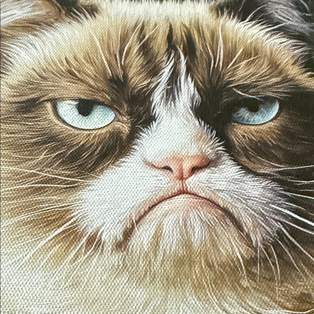 Grumpy Cat Holiday Canvas Art - Green Sweater